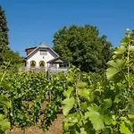 Neve Nincs Nyaralo - Oenallo Haziko- Privat Szfera * Balatonfüred