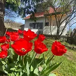Apartmán Neve Nincs Nyaralo - Oenallo Haziko- Privat Szfera Balatonfüred