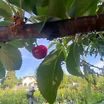 Neve Nincs Nyaralo - Oenallo Haziko- Privat Szfera شقة *