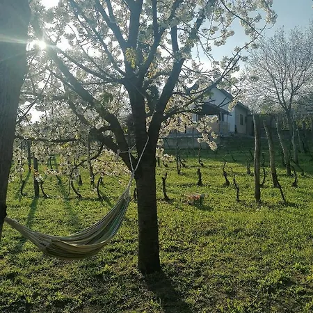 Apartament Neve Nincs Nyaralo - Oenallo Haziko- Privat Szfera *