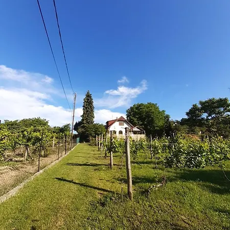 Neve Nincs Nyaralo - Oenallo Haziko- Privat Szfera