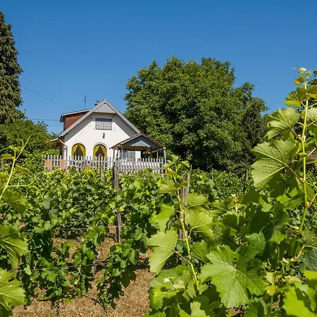 Neve Nincs Nyaralo - Oenallo Haziko- Privat Szfera * Balatonfüred