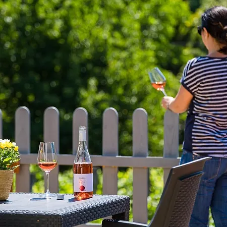 Neve Nincs Nyaralo - Oenallo Haziko- Privat Szfera * Balatonfüred