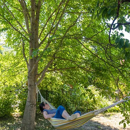 Neve Nincs Nyaralo - Oenallo Haziko- Privat Szfera * 巴拉顿菲赖德