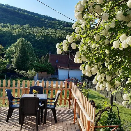 Lejlighed Neve Nincs Nyaralo - Oenallo Haziko- Privat Szfera Balatonfüred