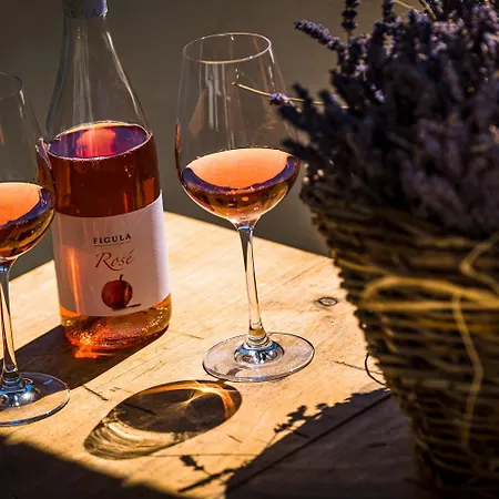 Neve Nincs Nyaralo - Oenallo Haziko- Privat Szfera * Balatonfüred