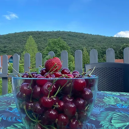 Neve Nincs Nyaralo - Oenallo Haziko- Privat Szfera Apartment