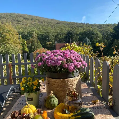 Neve Nincs Nyaralo - Oenallo Haziko- Privat Szfera Balatonfüred