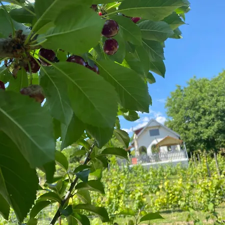 Neve Nincs Nyaralo - Oenallo Haziko- Privat Szfera * Balatonfüred