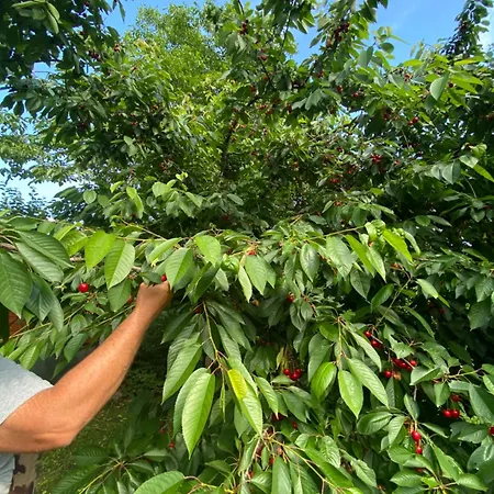 Apartament Neve Nincs Nyaralo - Oenallo Haziko- Privat Szfera *