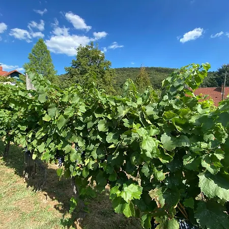 Apartment Neve Nincs Nyaralo - Oenallo Haziko- Privat Szfera Balatonfüred