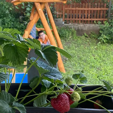 Neve Nincs Nyaralo - Oenallo Haziko- Privat Szfera