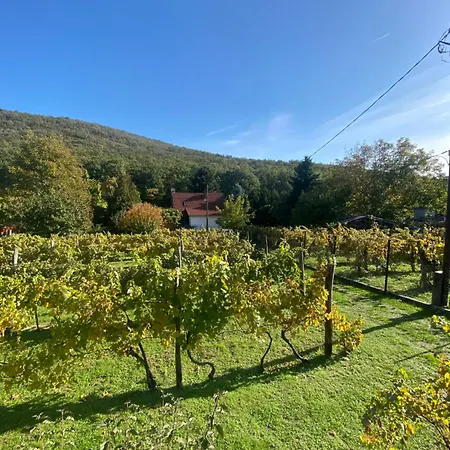 דירה Neve Nincs Nyaralo - Oenallo Haziko- Privat Szfera *