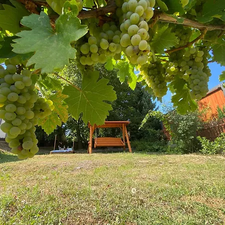 Neve Nincs Nyaralo - Oenallo Haziko- Privat Szfera Apartmán Balatonfüred