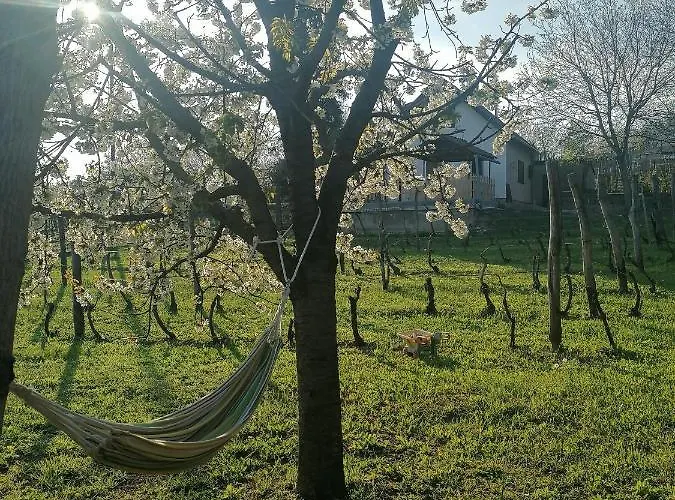 Apartment Neve Nincs Nyaralo - Oenallo Haziko- Privat Szfera *