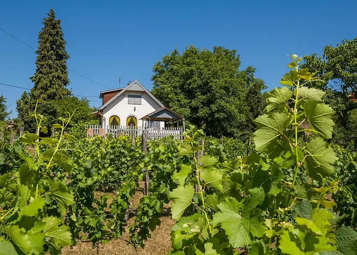 Neve Nincs Nyaralo - Oenallo Haziko- Privat Szfera * Balatonfured