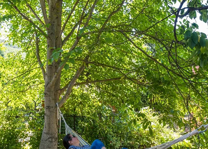 Neve Nincs Nyaralo - Oenallo Haziko- Privat Szfera * Balatonfured