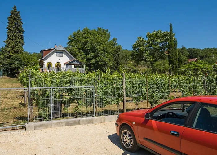 Neve Nincs Nyaralo - Oenallo Haziko- Privat Szfera * Balatonfured