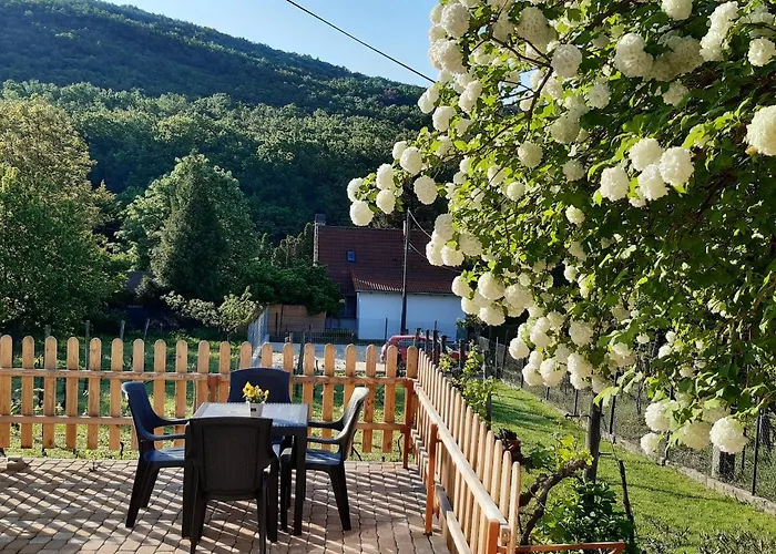 Apartment Neve Nincs Nyaralo - Oenallo Haziko- Privat Szfera Balatonfured