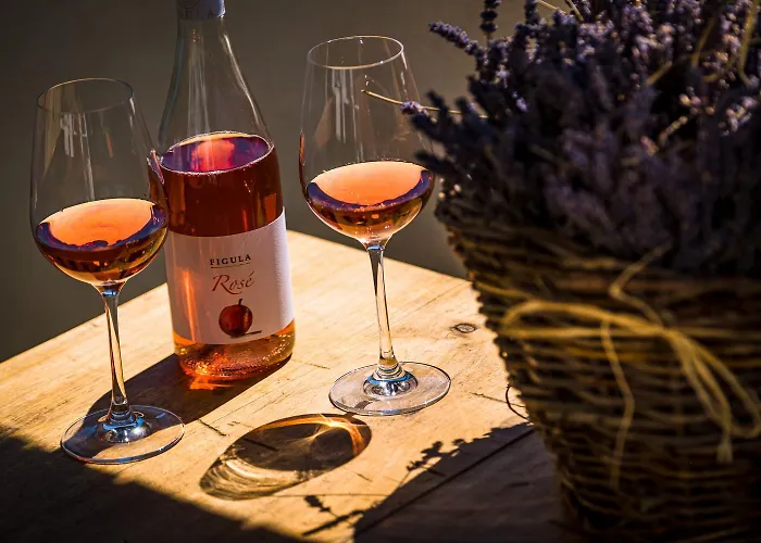 Neve Nincs Nyaralo - Oenallo Haziko- Privat Szfera * Balatonfured