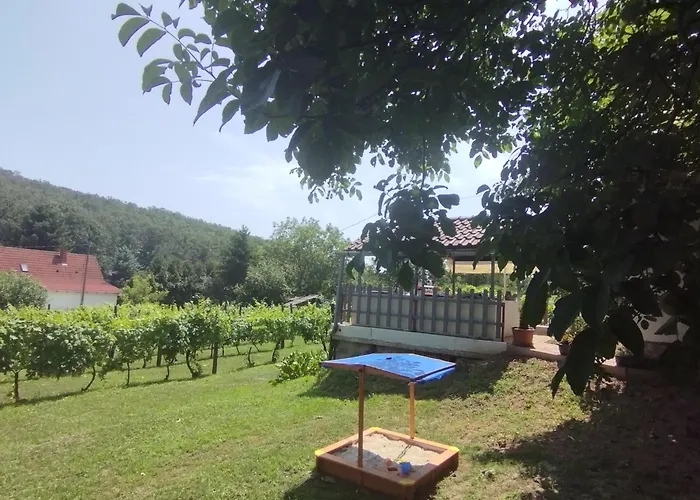 Apartment Neve Nincs Nyaralo - Oenallo Haziko- Privat Szfera