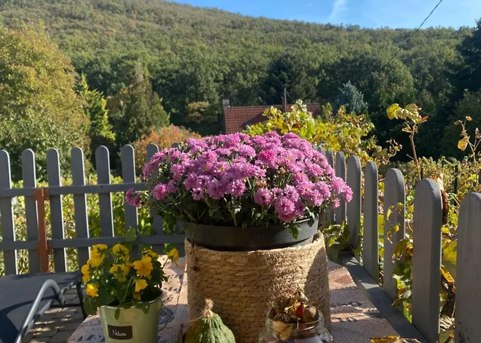Neve Nincs Nyaralo - Oenallo Haziko- Privat Szfera Balatonfured
