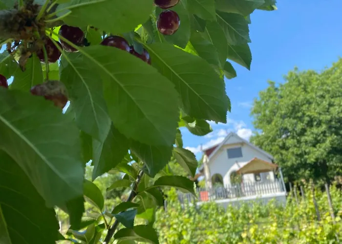 Neve Nincs Nyaralo - Oenallo Haziko- Privat Szfera * Balatonfured