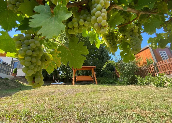 Neve Nincs Nyaralo - Oenallo Haziko- Privat Szfera Apartment Balatonfured