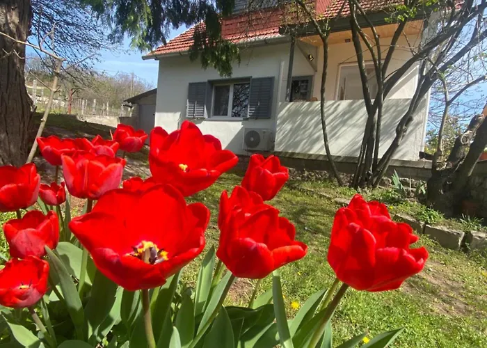 Apartment Neve Nincs Nyaralo - Oenallo Haziko- Privat Szfera Balatonfured